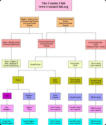 Cousin Chart